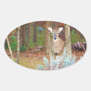 Christmas Deer Oval Sticker