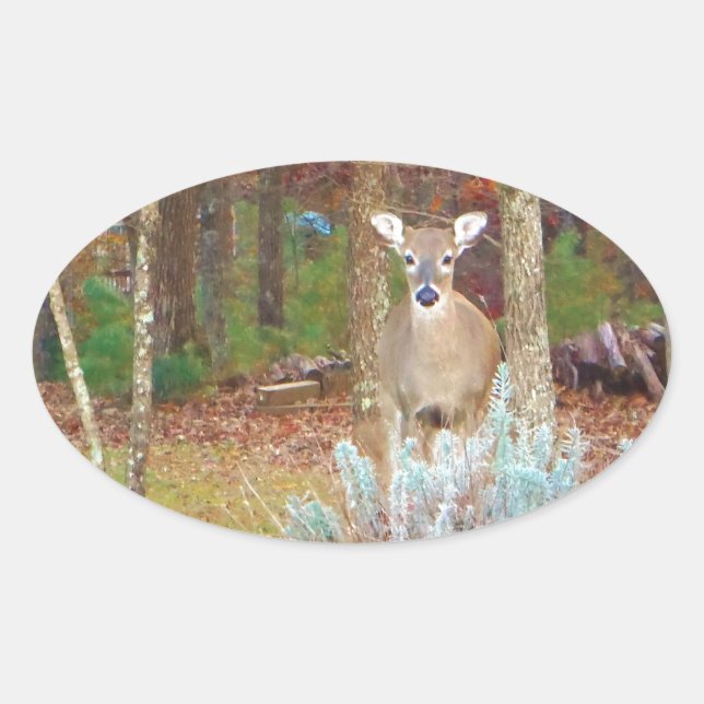 Christmas Deer Oval Sticker (Front)