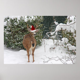Christmas Deer Poster