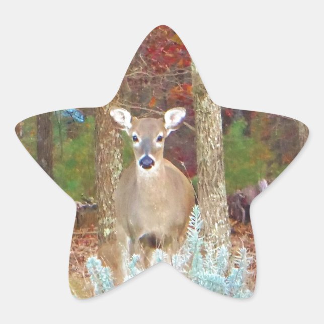 Christmas Deer Star Sticker (Front)