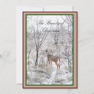 Christmas Deer Winter Scene Script Holidays Name Holiday Card