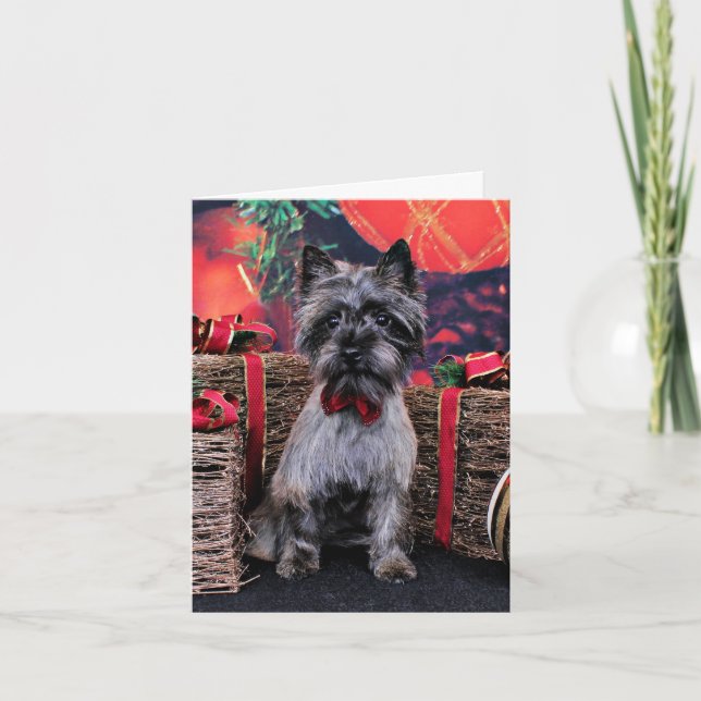 Christmas - Dexter - Cairn Holiday Card (Front)