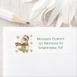 Christmas Dinosaur Birthday Party Address