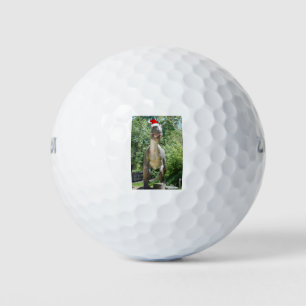 Christmas Dinosaur Santa Claus Golf Balls