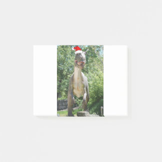 Christmas Dinosaur Santa Claus Post-it Notes