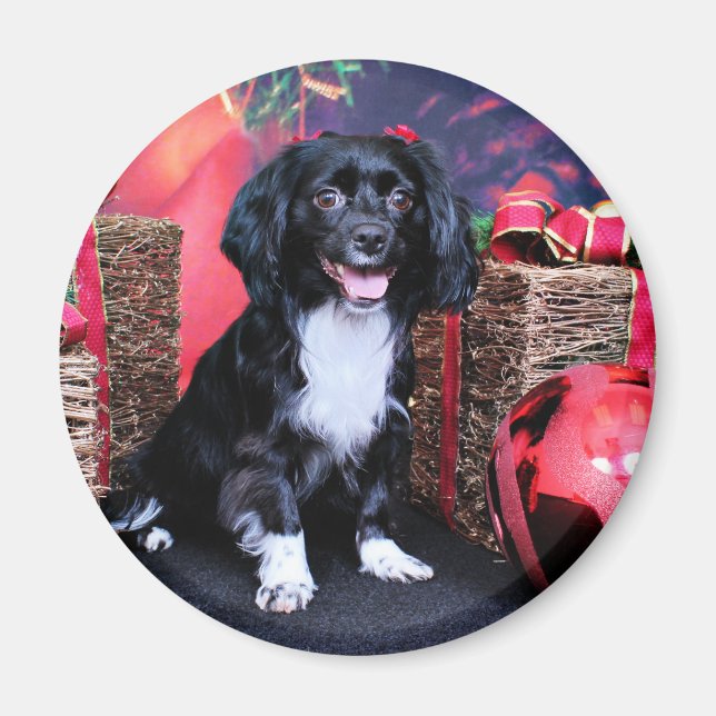 Christmas - Docker - Gigi Magnet (Front)