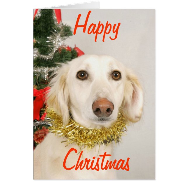 Christmas Dog 2 (Front)