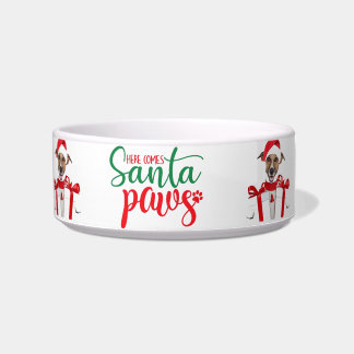  Christmas Dog Bowl