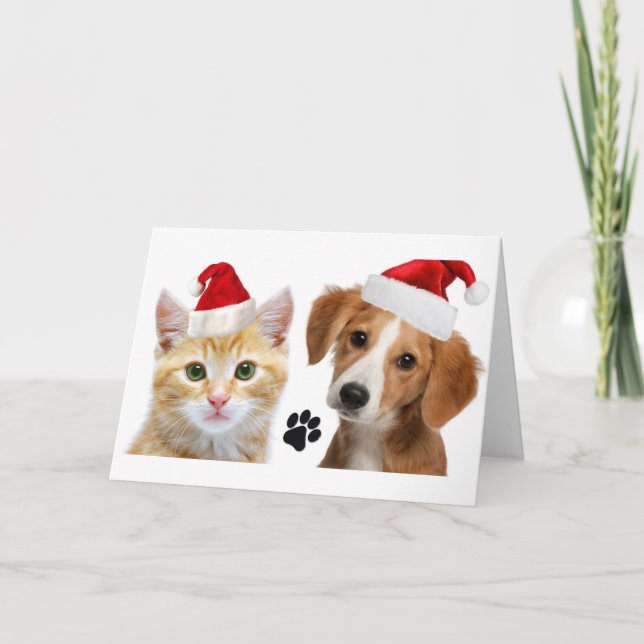 Christmas Dog Cat Cute Pets Xmas Holiday Card (Front)
