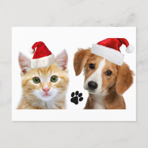 Christmas Dog Cat Cute Pets Xmas Holiday Postcard