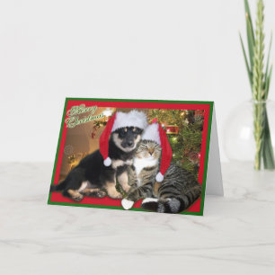 Christmas Dog & Cat Holiday Card