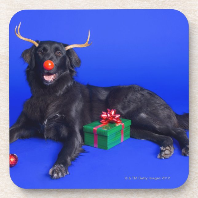 Christmas dog coaster (Front)