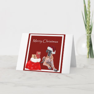 Christmas Dog Great Dane Holiday Card