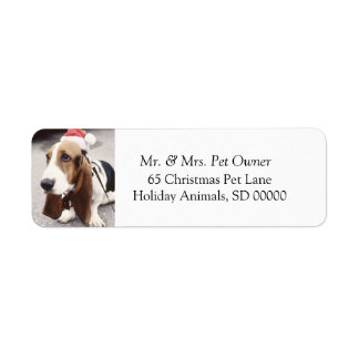 Christmas Dog Make Holiday Cards Address Label