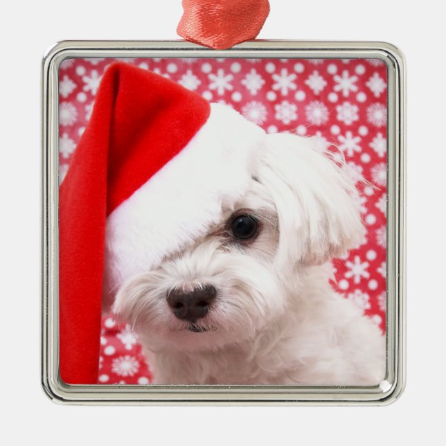 Christmas Dog Ornament (Front)