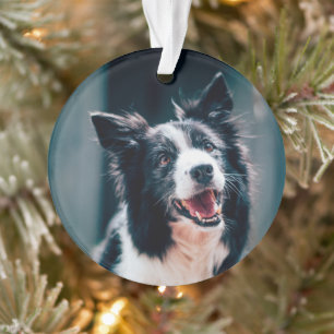 Christmas Dog Photo  Ornament