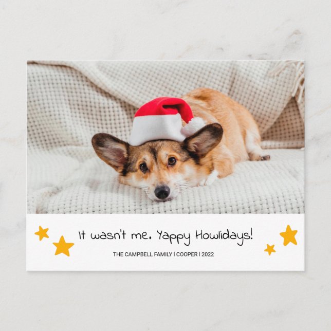 Christmas Dog Photograph Postcard (Front)