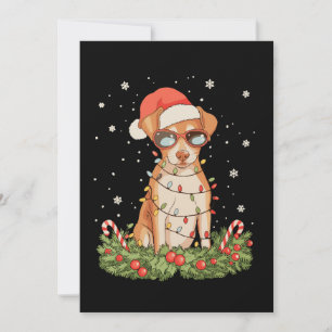 Christmas Dog Pinscher Xmas Santa Hat Holiday Card