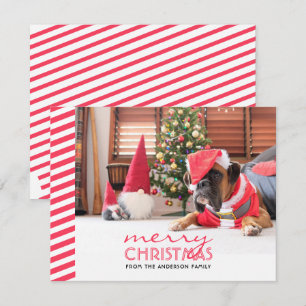Christmas Dog Red Stripes  Holiday Card