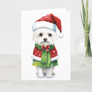 Christmas Dog, Santa Dog Cute Puppy BLANK  Holiday Card