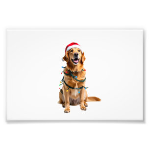Christmas Dog Shirt, Christmas Golden retriever Pa Photo Print