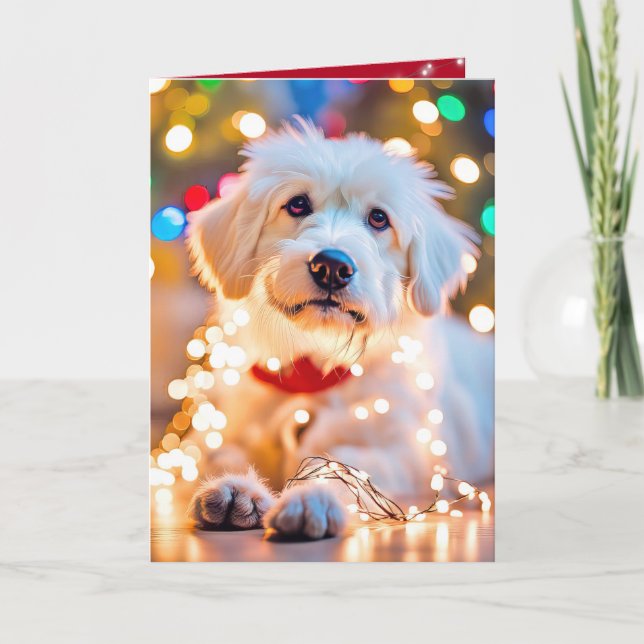 Christmas Dog Tangled In Lights Holiday Card (Front)