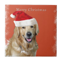 Christmas Dog