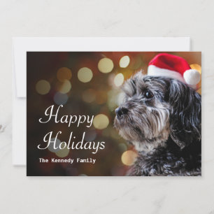 Christmas Dog Waiting For Santa Holiday Card