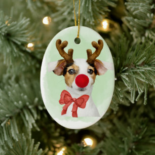 Christmas Dog wAntlers & Oven Mitt Ornament