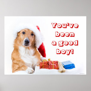 Christmas dog with antler and colorful gifts poster
