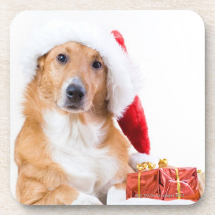 Christmas dog with antler and colourful gifts coaster