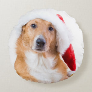 Christmas dog with antler and colourful gifts round cushion