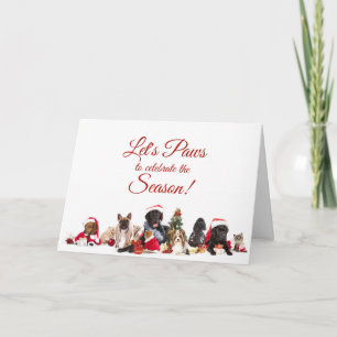 Christmas   Dogs and Cats Holiday Card