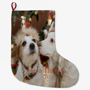 Christmas, Dogs In Love Large Christmas Stocking