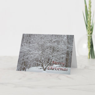 Christmas Dogwood Tree in Snow Holiday Card