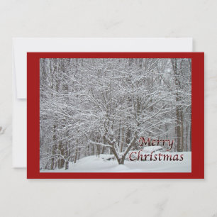 Christmas Dogwood Tree in Snow Invitation