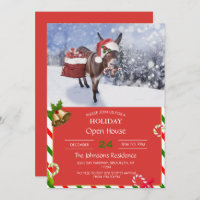 Christmas donkey with funny red hat         