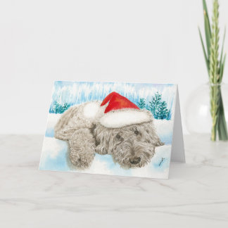 Christmas Doodle Holiday Card