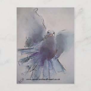 Christmas Dove - 2010 Holiday Postcard