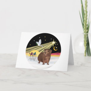 Christmas Dove - Guinea Pig 3 Holiday Card