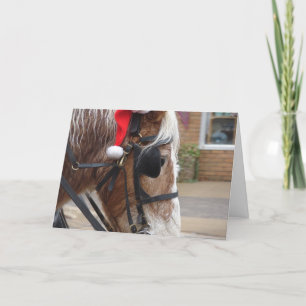 Christmas Draught   Horse Holiday Card