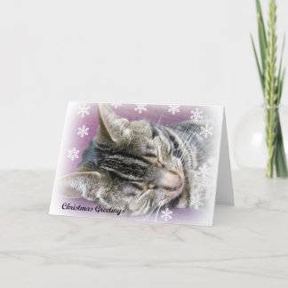 Christmas Dreaming card