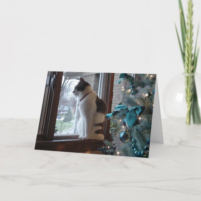 Christmas Dreams Holiday Card (Front)