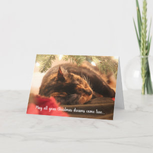 Christmas Dreams Sleeping Calico Cat, Personalised Holiday Card