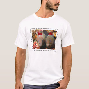 Christmas Eels T-Shirt