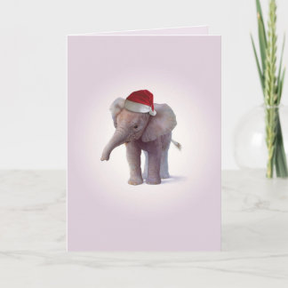 Christmas Elephant Babies Christmas Card