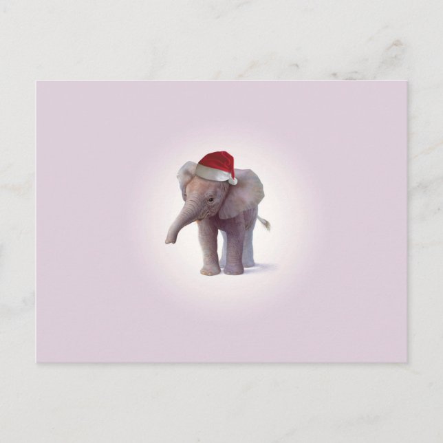 Christmas Elephant Babies Christmas Postcard (Front)