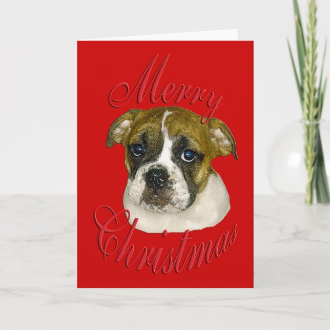 Christmas English Bulldog Holiday Card (Front)