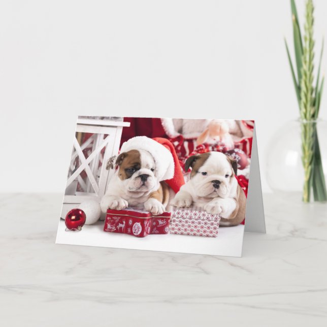 Christmas English Bulldogs Happy Holidays Card (Front)