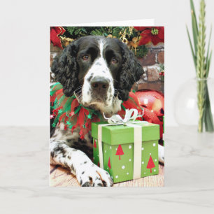 Christmas - English Springer Spaniel - Barney Holiday Card